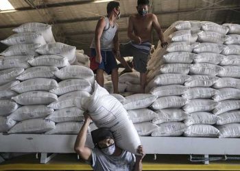 রেকর্ড সর্বোচ্চে ভারতের চাল রফতানি