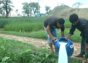পানির দামে বিক্রি হচ্ছে দুধ