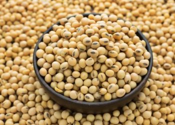 সয়াবিন আমদানি বাড়িয়েছে চীন
