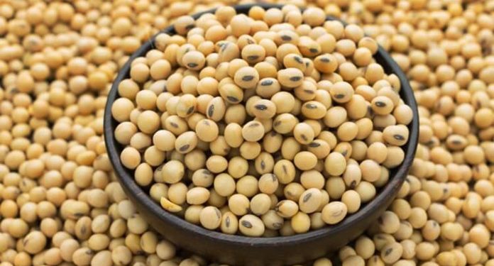 সয়াবিন আমদানি বাড়িয়েছে চীন