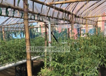 হাইড্রোপনিক পদ্ধতিতে প্রায় এক লক্ষ টাকার ফলন পেতে ছাদ বাগানে এক দৃষ্টান্ত তৈরী করলেন সি.এম.পি ডবলমুরিং থানার ওসি মহসিন