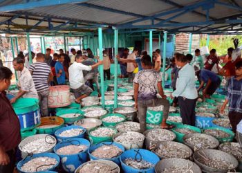 প্রথমদিনে কাপ্তাই হ্রদ থেকে প্রায় ২২ লাখ টাকা রাজস্ব আদায়