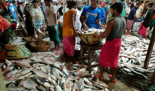 ভরা পূর্ণিমা ঘিরে ইলিশে ইলিশে ভরপুর চাঁদপুরের মাছঘাট