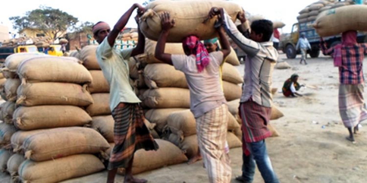 আমদানি ২৪১ কোটি টাকার চাল