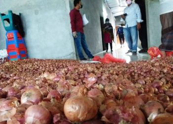দেশে তিন মাসের পেঁয়াজ মজুদ আছে