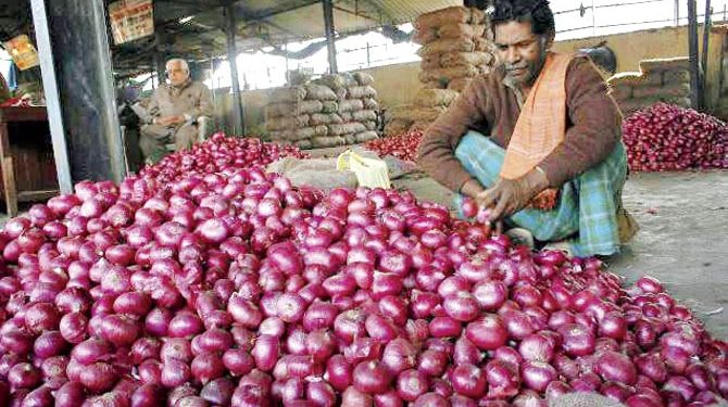 পাঁচদিনের ব্যবধানে পেঁয়াজের দাম কেজিতে ৫-৬ টাকা করে কমেছে।