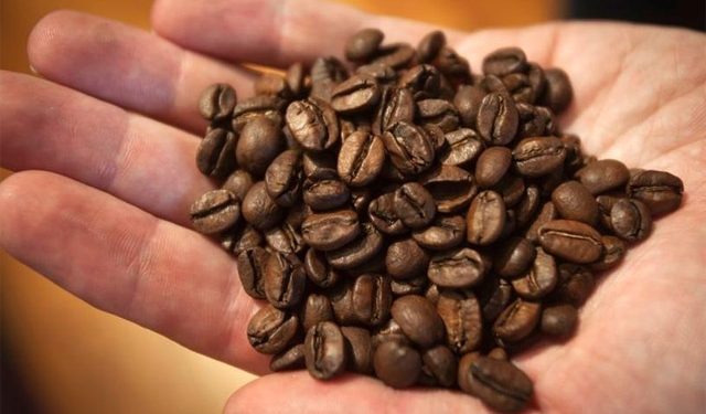 ধস নেমেছে কপি রপ্তানিতে