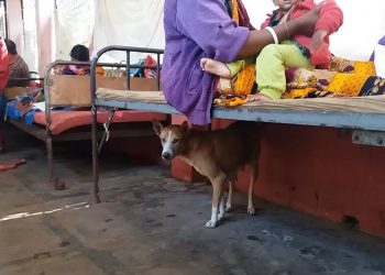 সেবাবঞ্জিত মানুষ সংকটের মুখে সরকারি হাসপাতাল