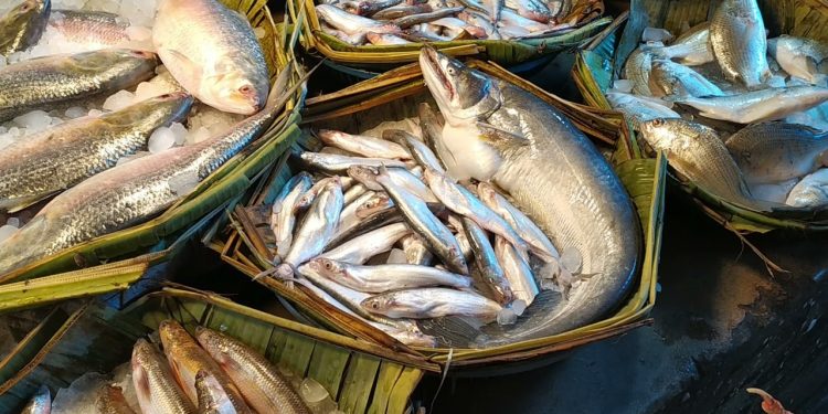 বেড়েছে মাছের দাম সরবারহ কম বাজারে