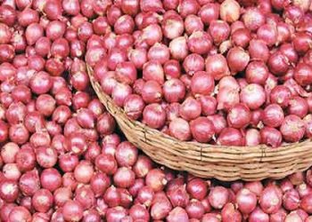 পেঁয়াজের বাজার মূল্য কমেছে