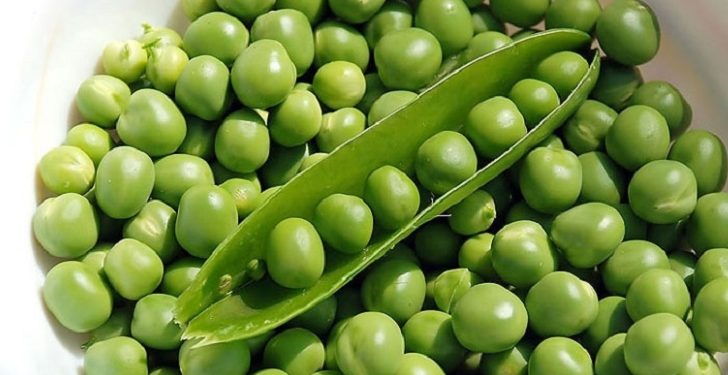 আমদানি শুরু হয়েছে ভারতীয় মটরশুটি