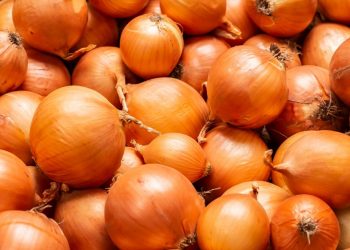 পেঁয়াজের দাম ভারতীয় হিলিতে কমেছে