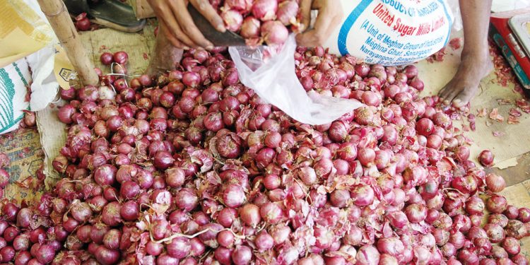 ভেদ করে বড় হচ্ছে পেঁয়াজের গাছ!