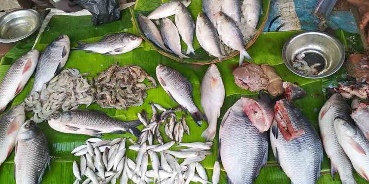 মাছের দাম কমেছে বৃষ্টির কারণে