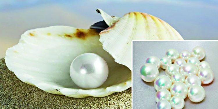 মূল্যবান মুক্তা কিভাবে আসে ?