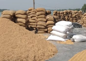 হতাশায় মিল মালিকরা,ধানের বাজার চড়া