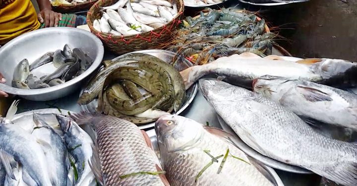 শৈত্যপ্রবাহের কারনে বেড়েছে মাছের দাম