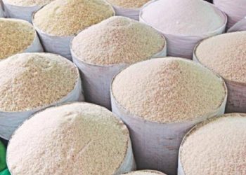 ‘ শিগগিরই স্থিতিশীল হবে চালের দাম ‘