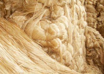 ৩ হাজার টাকার বেশি না দেওয়ার সিদ্ধান্ত প্রতি মণ পাটে