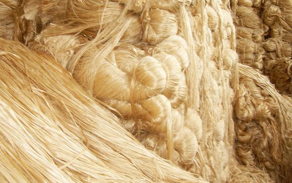 ৩ হাজার টাকার বেশি না দেওয়ার সিদ্ধান্ত প্রতি মণ পাটে