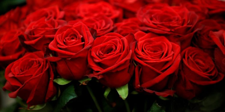 ৫ কোটি টাকার ফুল বিক্রি ফেব্রুয়ারিতেই