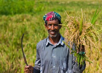 দেড় কোটি কৃষক পাবেন স্মার্ট কার্ড