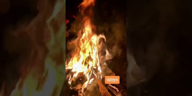 অগ্নিকাণ্ডের ঘটনা রূপসা পাইকারি মাছ বাজারে