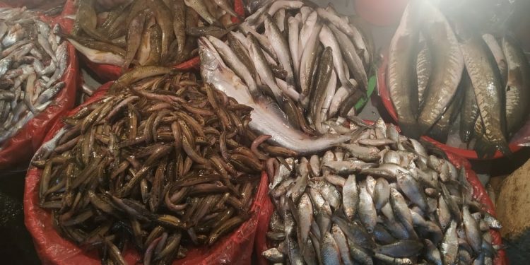 মাছের দাম সাভারে বেড়েছে