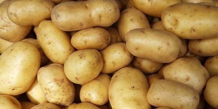 আলুর কেজি সাড়ে ৬ টাকা হিলিতে