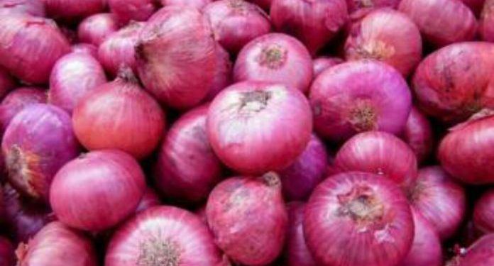 লোকসানে কৃষক নাটোরে কমেছে পেঁয়াজের দাম