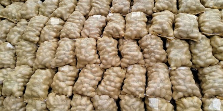 বগুড়ার আলু রপ্তানি হচ্ছে বিদেশে