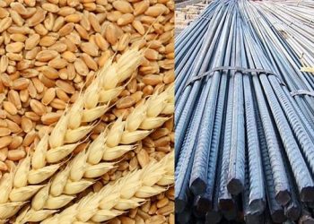 বেড়েছে গম ও রডের দামও