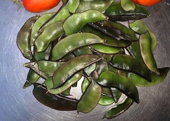 এবার শিমও সেঞ্চুরি হাঁকাল !