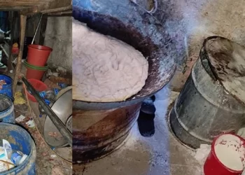 লাখ টাকা জরিমানায় এখন ফুড ইন্ডাস্ট্রি