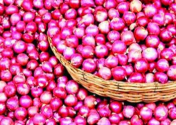 হিলি দিয়ে ১২ দিন পর পেঁয়াজ আমদানি