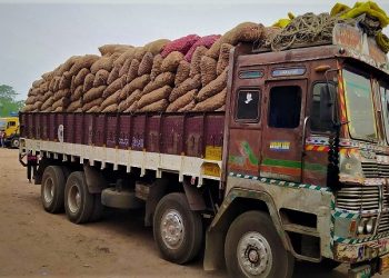 ভারতীয় পেঁয়াজ আসায় প্রভাব পড়েছে  দেশের বাজারে