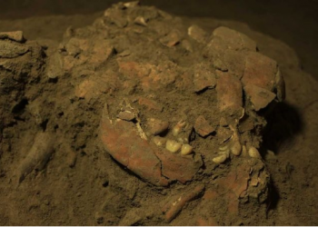 ৭ হাজার বছর পুরনো দেহাবশেষ থেকে অজানা এক নতুন মানবগোষ্ঠীর সন্ধান