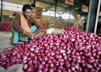 দাম কমে ১৬ টাকা পেঁয়াজের কেজি!