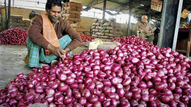 দাম কমে ১৬ টাকা পেঁয়াজের কেজি!