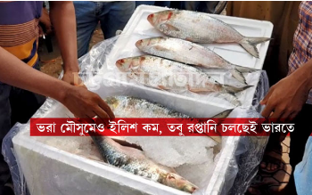 চট্টগ্রাম থেকে ২ হাজার কেজি ইলিশ গেল ভারতের আগরতলায়