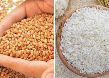 খুচরা বাজারে ইতিবাচক প্রভাব পড়ার আশা, দেশে আমদানি করা হচ্ছে ১৩ লাখ টন চাল ও গম