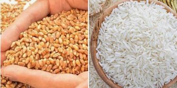 খুচরা বাজারে ইতিবাচক প্রভাব পড়ার আশা, দেশে আমদানি করা হচ্ছে ১৩ লাখ টন চাল ও গম