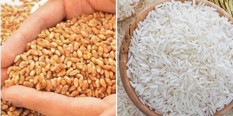 খুচরা বাজারে ইতিবাচক প্রভাব পড়ার আশা, দেশে আমদানি করা হচ্ছে ১৩ লাখ টন চাল ও গম