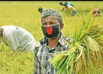 চট্টগ্রামে কৃষি প্রণোদনা পাচ্ছেন ৮০ হাজার কৃষক