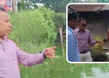 এসি ল্যান্ডের হস্তক্ষেপ: রক্ষা পাচ্ছে কাট্টলীর শতবর্ষী পুকুর