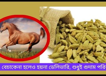 সিন্ডিকেটের মজুদদারিতে পাগলা ঘোড়া এলাচের বাজার!