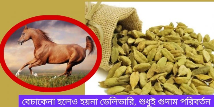 সিন্ডিকেটের মজুদদারিতে পাগলা ঘোড়া এলাচের বাজার!