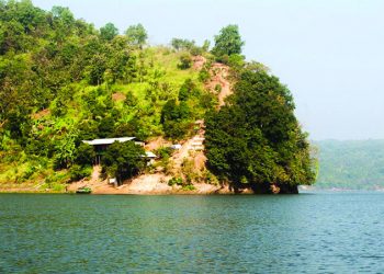 একটি গাছ কাটার ফলে রহস্যজনক রোগে আক্রান্ত হয়ে মারা যাচ্ছেন গ্রামবাসীরা