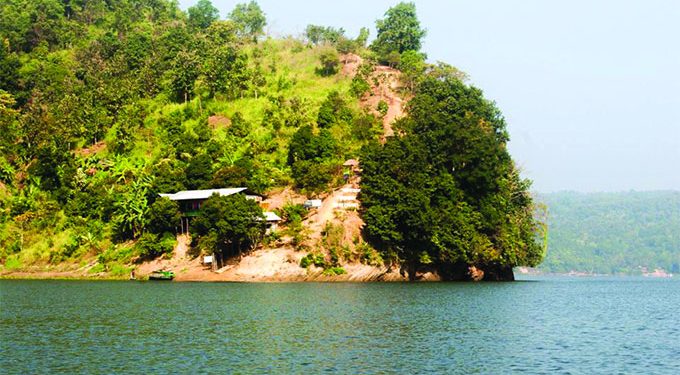 একটি গাছ কাটার ফলে রহস্যজনক রোগে আক্রান্ত হয়ে মারা যাচ্ছেন গ্রামবাসীরা