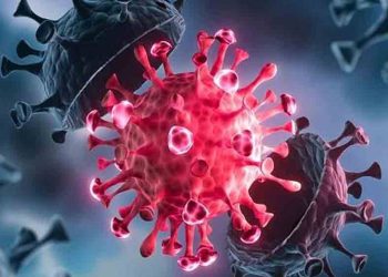 দেশে ২৪ ঘণ্টায় করোনায় একজনের মৃত্যু, শনাক্ত ৩